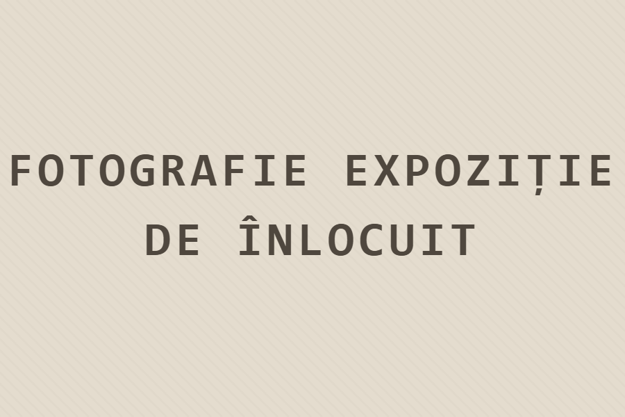 Substituent — fotografie expoziție, de înlocuit